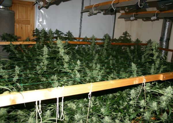 cannabis farm Underwood  following Hucknall police raid