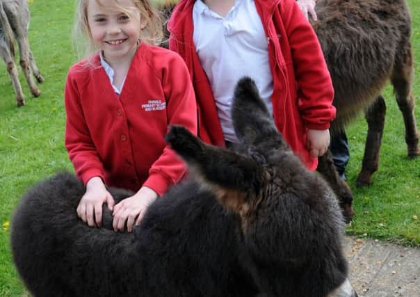 Paul Hessey with children Emily and Callum with foal  Beauty.