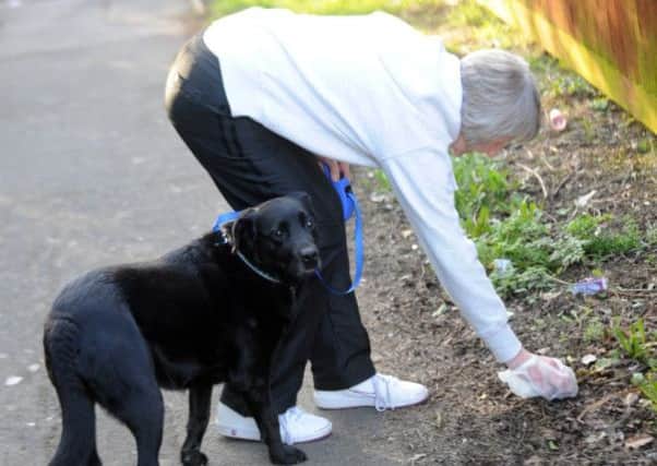 PICKING IT UP -- the council is urging all dog-walkers to be as responsible as this lady.