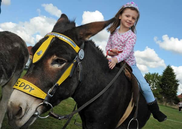 Skegby gala. 
Steady Teddy, Emily Randall takes a donkey ride during her visit to the fun day at the Healdswood Recreation ground in Skegby on Saturday.