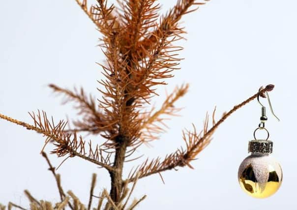 Will your Christmas tree make it through to the New Year?