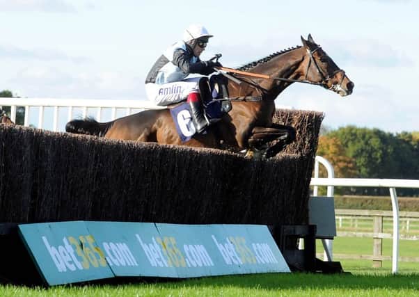 MILESTONE MAN -- Richard Johnson, pictured aboard Village Vic, became only the second Jumps jockey in history (after Sir Tony McCoy) at Ascot on Saturday to ride 3,000 winners.