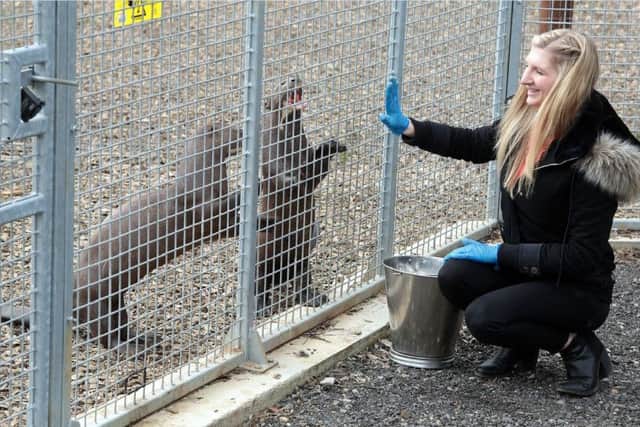 Rebecca Adlington opens the new Otter enclosure at the Yorkshire Wildlife Park, Doncaster, United Kingdom on 22 March 2016. Photo by Glenn Ashley Photography