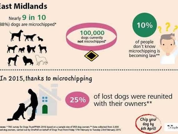 microchip your dogs
