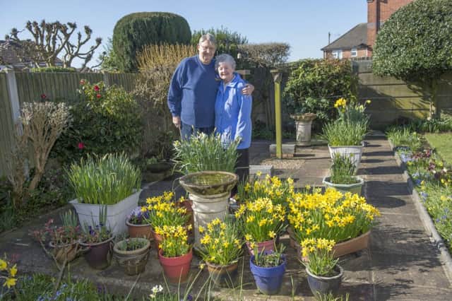 The garden of Terry and Lynda Cumberland in Kirkby -in-Ashfield. Butterflies are attracted to the flowers
