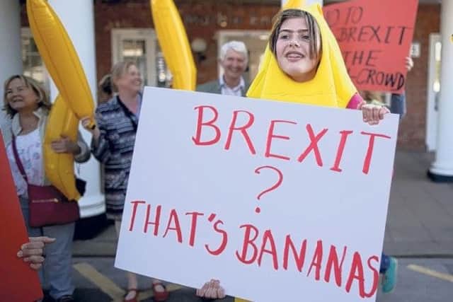 Remain supporters dressed as bananas at a protest