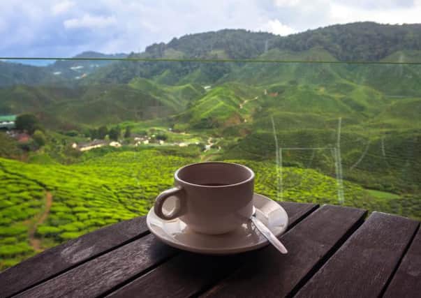 Anyone for a brew? Picture: Shutterstock.