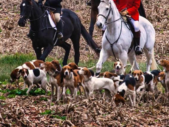 A reader disagrees with a previous correspondent about fox hunting. See letter