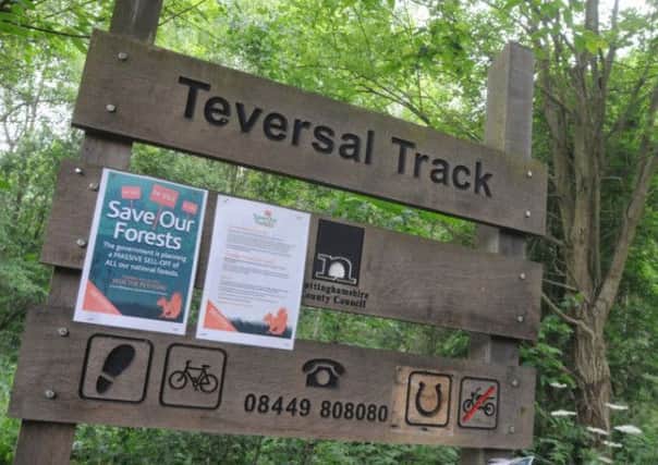 Teversal Trail
