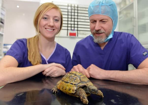 East Midlands referrals vet surgery. Nursev Sophie Hesketh and Principle vet Graham Oliver with Taribo.