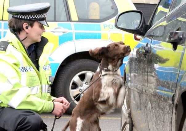 sp73387
PC Rachel Swift with Meg the sniffer dog for Police traffic feature at Woodall Services